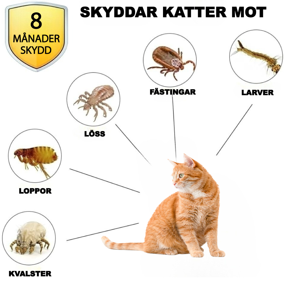 TickStop - Fästing och lopphalsband för katter